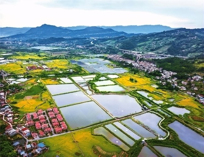 开州:水润沃野 诗画田园
