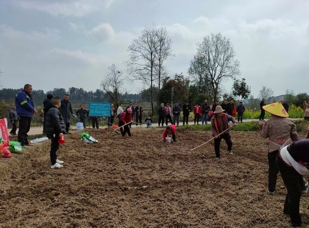 开州：赵家街道科技赋能春耕春管 夯实粮油丰收基础