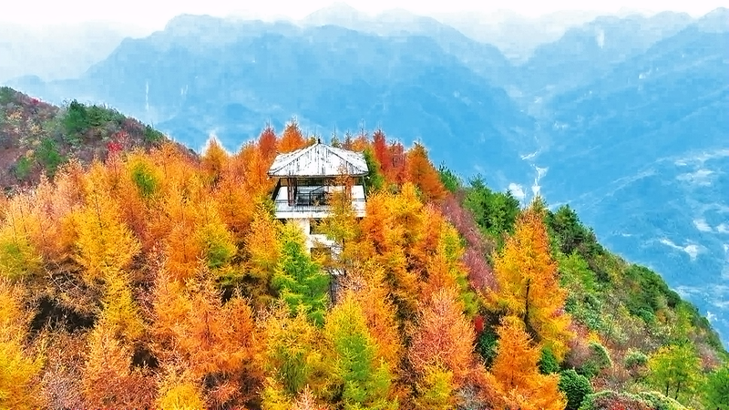 开州：初冬彩林 美景如画