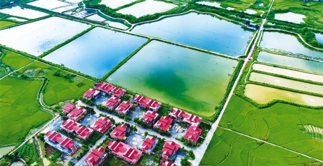 开州：田园织锦绣 乡村产业兴