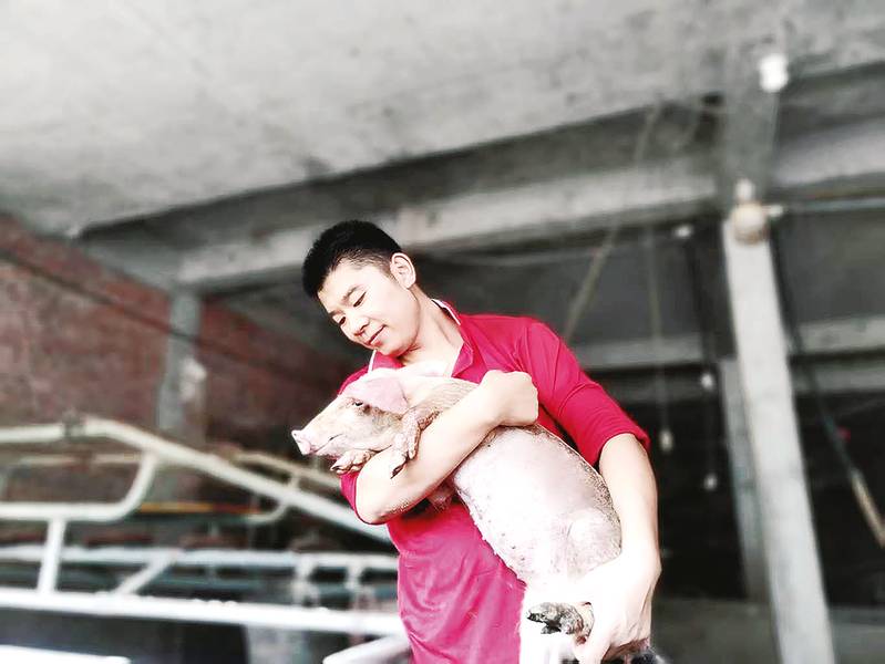 崔宏利养猪实现了人生价值