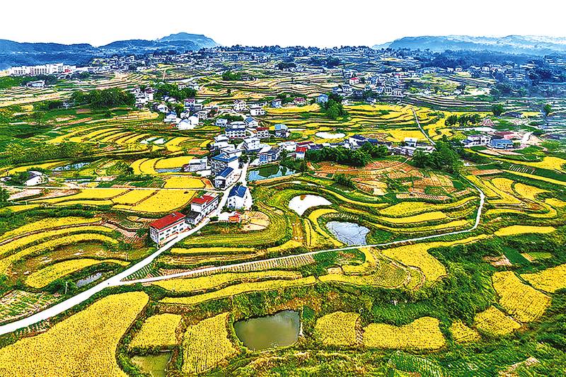 丰盛开州 喜迎国庆