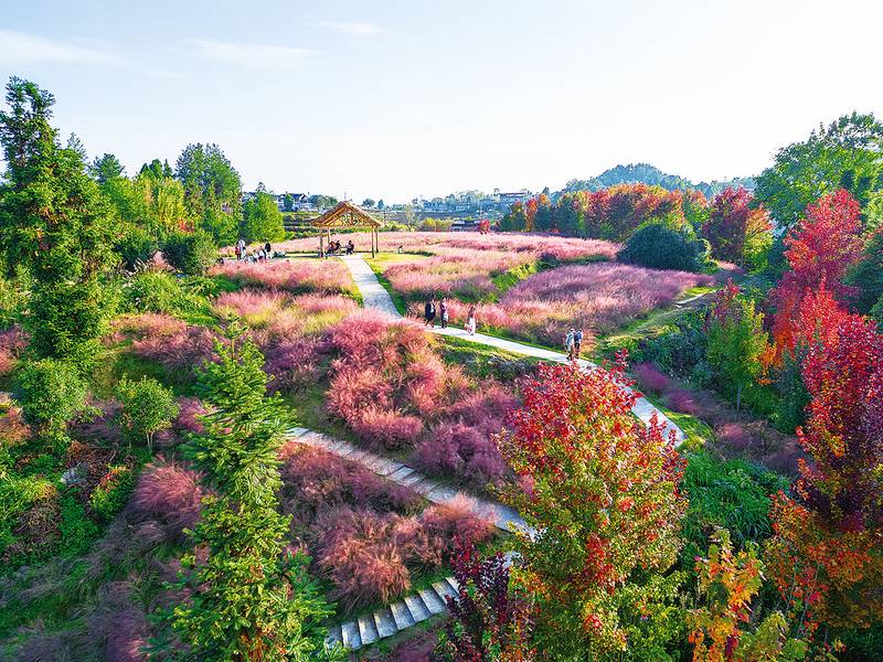 “双节”期间“玩场”多 丰盛“文旅大餐”等您来