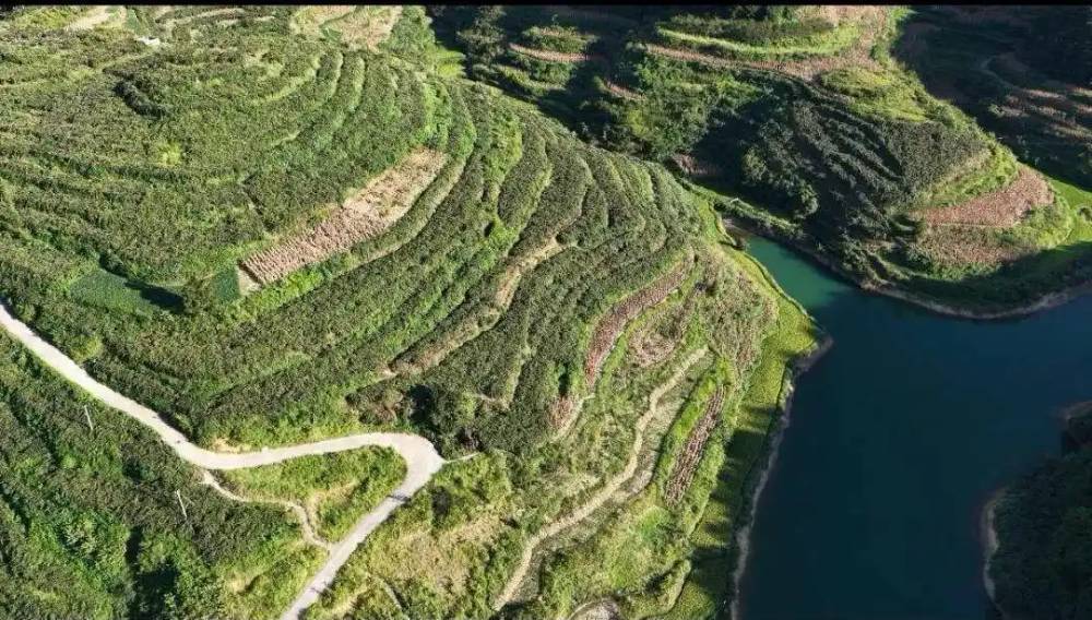 党建领航风帆劲 帅乡蝶变气象新