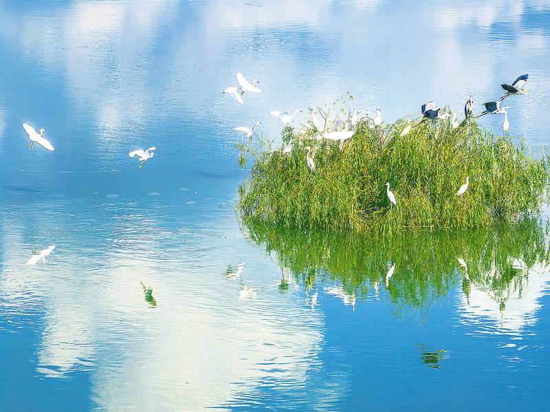 筑牢环境安全屏障 守护群众生态福祉