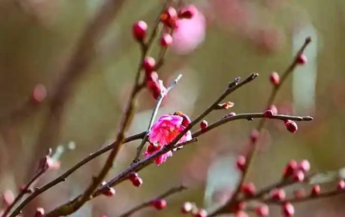 天空亮了道路宽了心气顺了